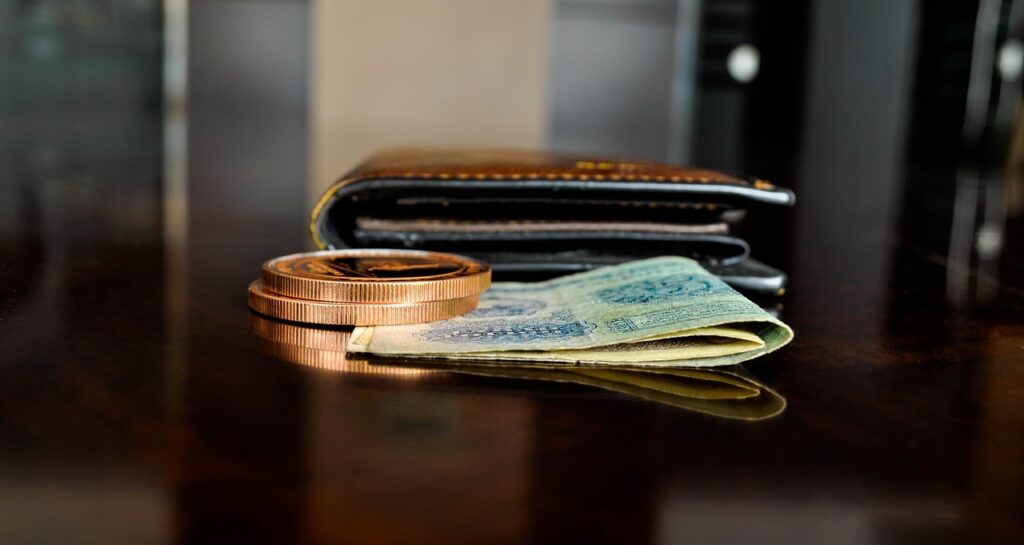 banknote, coin, paper, wallet, cash, currency, money, mongolia, 5 tugrik, tugrik, token, reflection, save money, income, finance, wallet, wallet, wallet, wallet, wallet, token, token, income