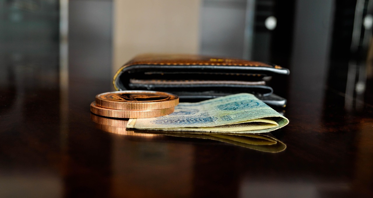 banknote, coin, paper, wallet, cash, currency, money, mongolia, 5 tugrik, tugrik, token, reflection, save money, income, finance, wallet, wallet, wallet, wallet, wallet, token, token, income